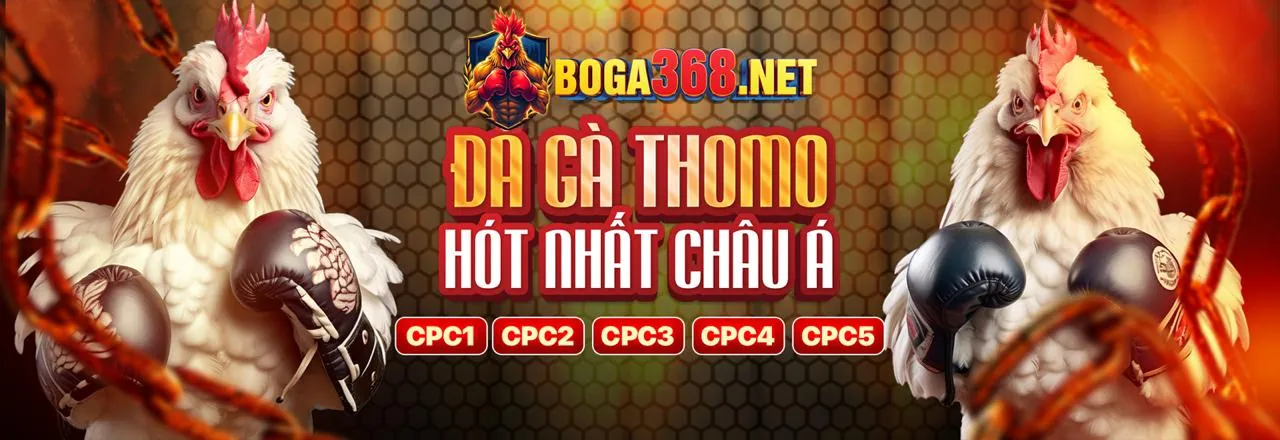 Tải ứng dụng ZX88 Login chính thức